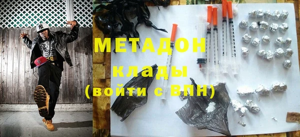 сатива Беломорск