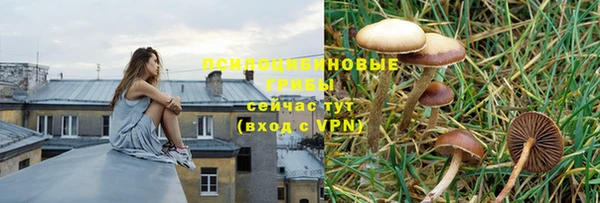 стаф Богородск