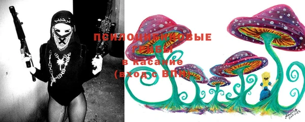 марки lsd Богданович